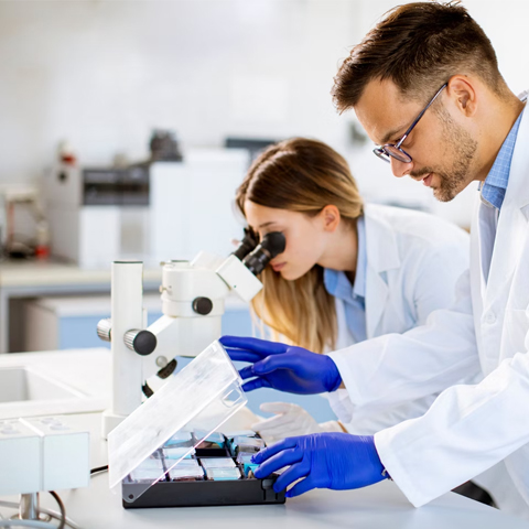 Drinking - Bottled/Unbottled